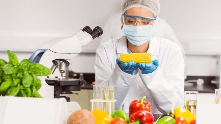 Bonnes pratiques d’hygiène : bases de la sécurité alimentaire
