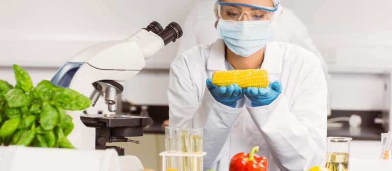 Bonnes pratiques d’hygiène bases de la sécurité alimentaire Bonnes pratiques d’hygiène bases de la sécurité alimentaire