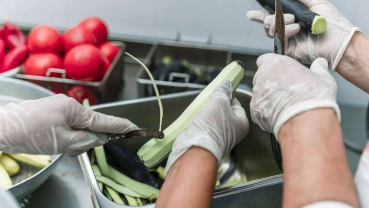 Pourquoi un Plan de Maîtrise Sanitaire est indispensable dans votre établissement ?
