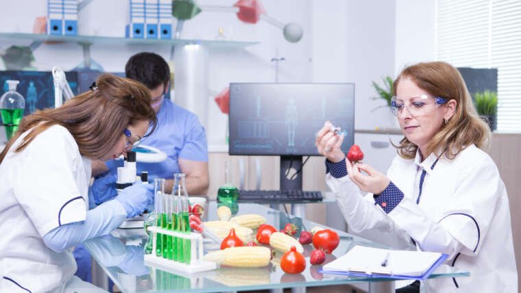 Tests microbiologiques : un pilier du pack hygiène en restauration