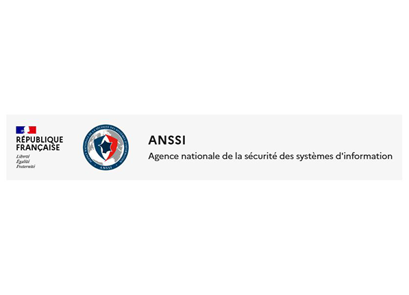axialys consulting anssi